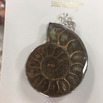 Michaels - Ammonite Fossil! Used in holistic practice. - Arts & Crafts Near Me - Collegeville, Pennsylvania Michaels - Ammonite Fossil! Used in holistic practice. - Arts & Crafts Near Me - Collegeville, Pennsylvania