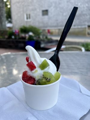 Tisberry Frozen Yogurt and Smoothies