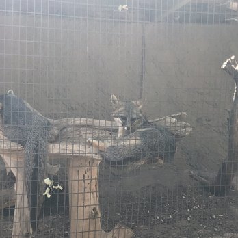 CALM Zoo - Zoos Near Me - Bakersfield, California