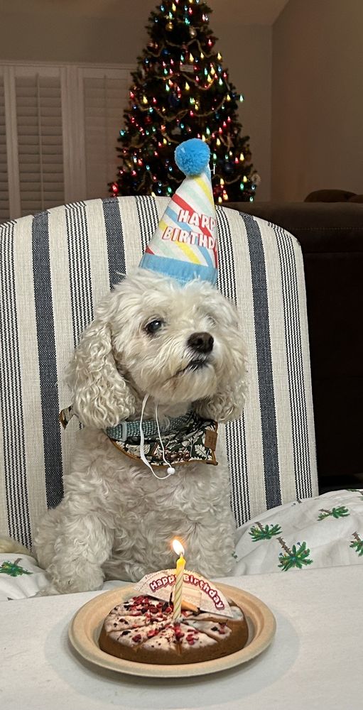 MANATEE VETERINARY CLINIC - Updated January 2025 - 18 Photos & 34