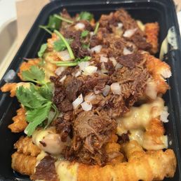 Birria fries