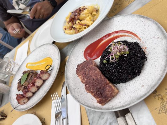 Ginger - Spagna by null