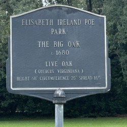 The Big Oak