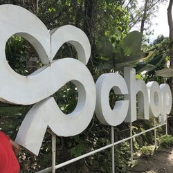 Chap Chocolate Hill Adventure Park