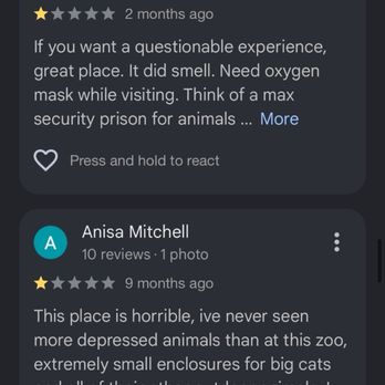 Branson Wild World - Aquariums Near Me - Branson, Missouri Branson Wild World - Aquariums Near Me - Branson, Missouri