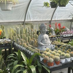 Bergen Garden Center and Farms