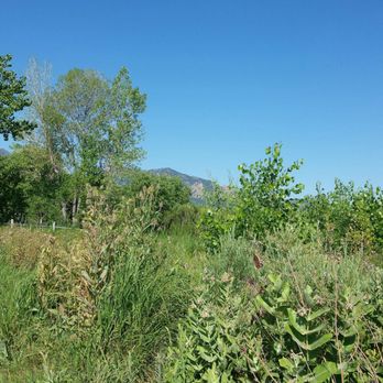 Bobolink Trailhead - Hiking Near Me - Boulder, Colorado