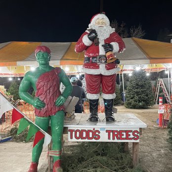 Todd's Christmas Trees - Christmas Trees Near Me - Long Beach, California