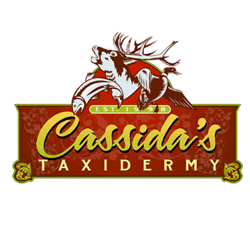 Cassida's Taxidermy & Guide Service - taxidermy in Belfast, ME