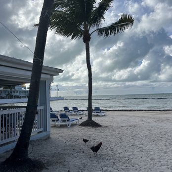Southernmost Beach Cafe - Venues & Event Spaces Near Me - Key West, Florida