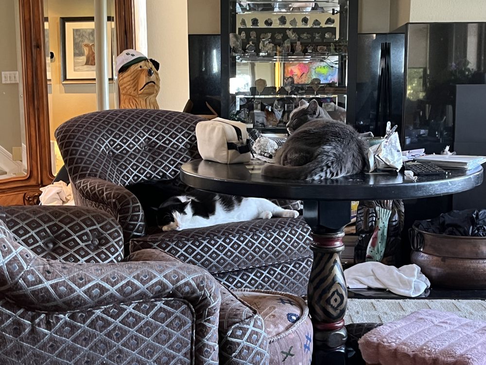 Evco Custom Upholstery - upholstery in Sacramento, CA