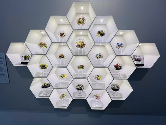 Imagine Museum: Contemporary glass art by null