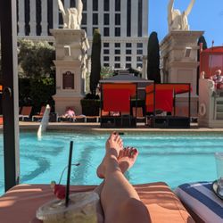 Venus Pool Lounge
