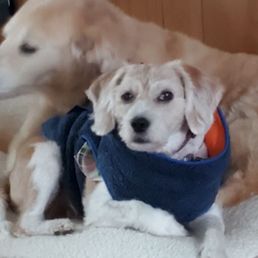 My two babies.