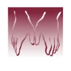 Coast Physical Therapy Specialists