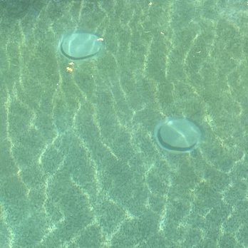 SwimHappy Pool Service & Repair - Pool Cleaners Near Me - Phoenix, Arizona SwimHappy Pool Service & Repair - Pool Cleaners Near Me - Phoenix, Arizona