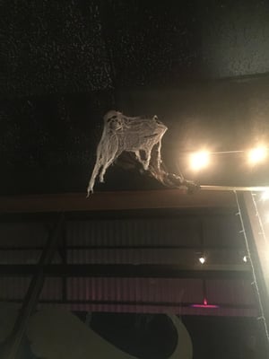 Vibes Hookah Lounge by null