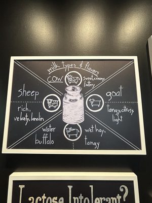 Antonelli's Cheese - Tasting Room South by null