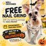 Well Groomed Pets-Queen Creek
