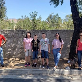 Xaviers Training - Pet Training Near Me - Highland, California Xaviers Training - Pet Training Near Me - Highland, California