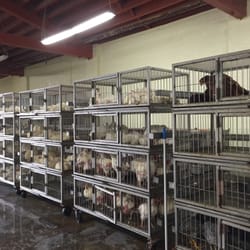 ZemZem Poultry & Lives Stock Inc