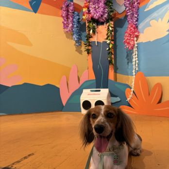IN THE SOUTHERN SUN - Art Galleries Near Me - Honolulu, Hawaii