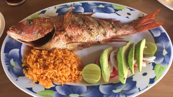 El Grillo Marinero by null