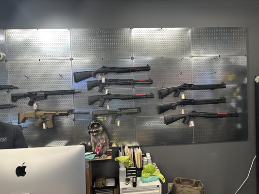 Wildboy Firearm & Ammunition