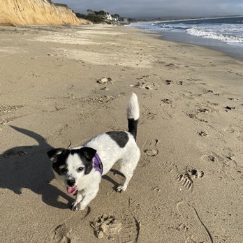 Surfer's Beach - Nice afternoon! - Beaches Near Me - Half Moon Bay, California