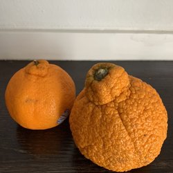 Sosio's Fruit & Produce - Dekopan from PCC on the left, Dekopab from Sosios on the right. SUCH a difference visually but total day and night taste wise.