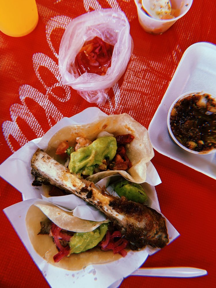 TACO N TODO 47 Photos & 25 Reviews Av. Hipódromo 101, Tijuana