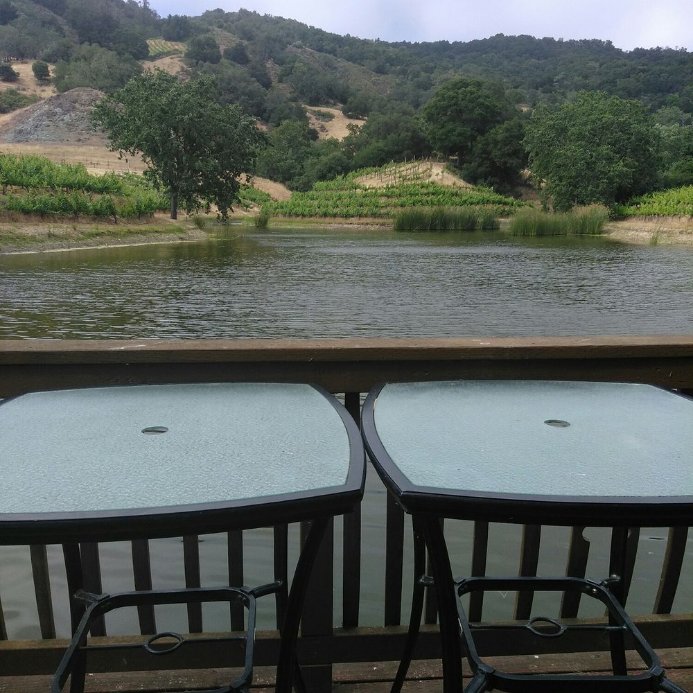 Martin Ranch Winery - Pond - Wineries Near Me - Gilroy, California
