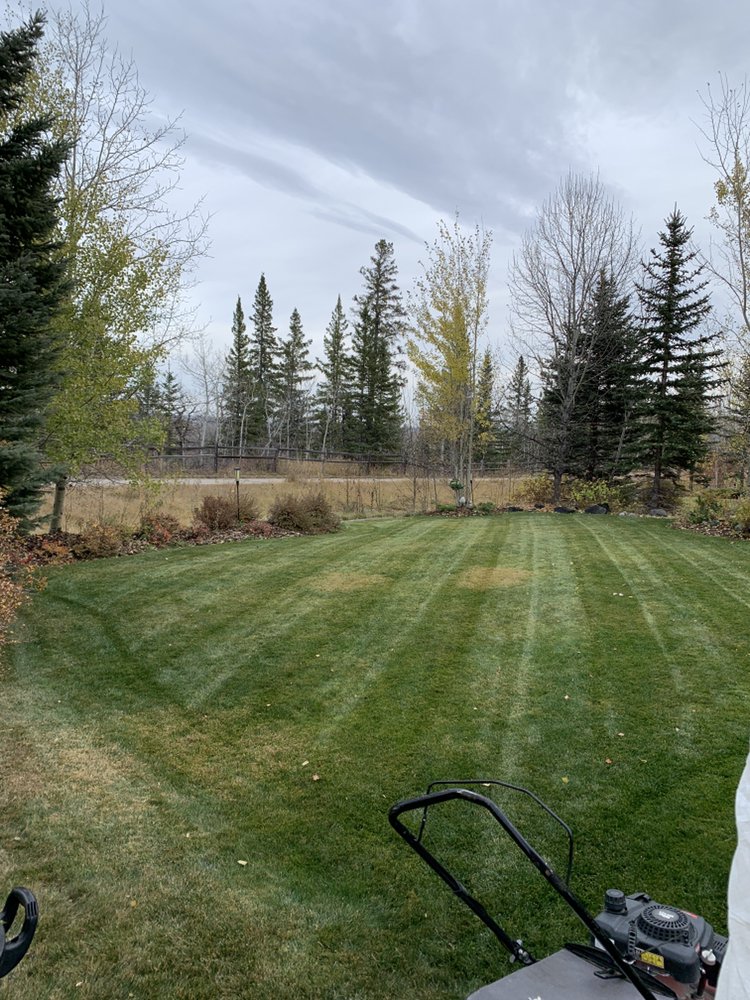 ARROWHEAD LANDSCAPING Updated October 2024 13 Photos 95 Sienna