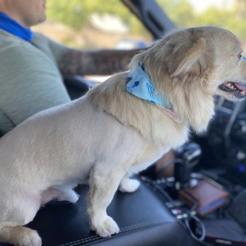 Grooming By Moraine - Pet Groomers Near Me - Lodi, California Grooming By Moraine - Pet Groomers Near Me - Lodi, California