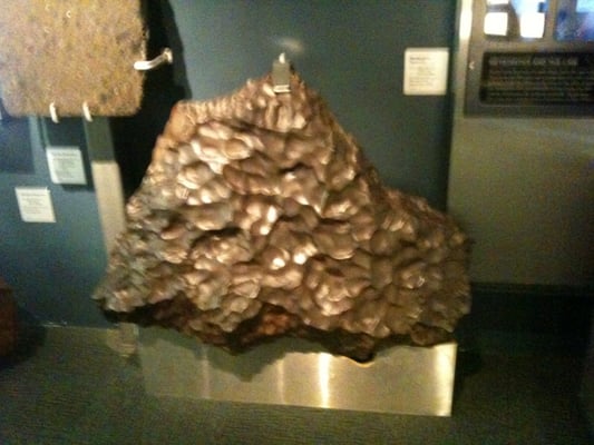 South Australian Museum by null