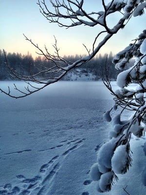 Nuuksio National Park by null