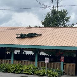 Sand Bar & Island Grill - Allllllligators!!!