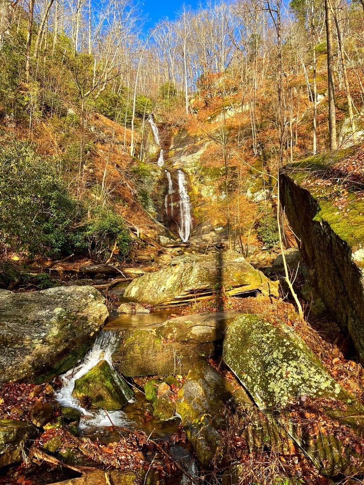 Tom's Creek Falls Logo