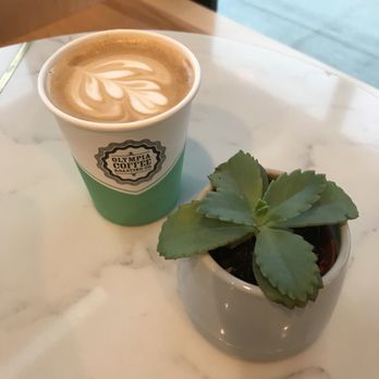 Olympia Coffee - Latte! - Coffee & Tea Near Me - Seattle, Washington Olympia Coffee - Latte! - Coffee & Tea Near Me - Seattle, Washington