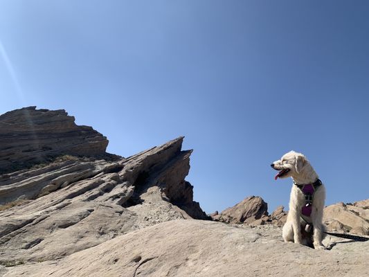 Vasquez Rocks Natural Area and Nature Center by null