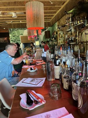 Strange Bird by null