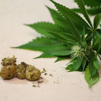 IBA - Pacific Northwest region leader in the sale of cannabis industry companies. - Business Consulting Near Me - Bellevue, Washington IBA - Pacific Northwest region leader in the sale of cannabis industry companies. - Business Consulting Near Me - Bellevue, Washington