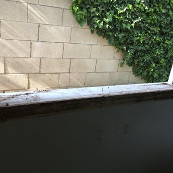 HomeShield Pest Control - Pest Control Near Me HomeShield Pest Control - Pest Control Near Me