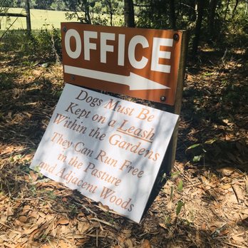 Cedar Lakes Woods and Gardens - Dogs welcome - Botanical Gardens Near Me - Williston, Florida Cedar Lakes Woods and Gardens - Dogs welcome - Botanical Gardens Near Me - Williston, Florida