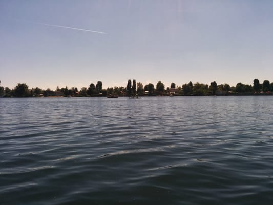 Alte Donau by null