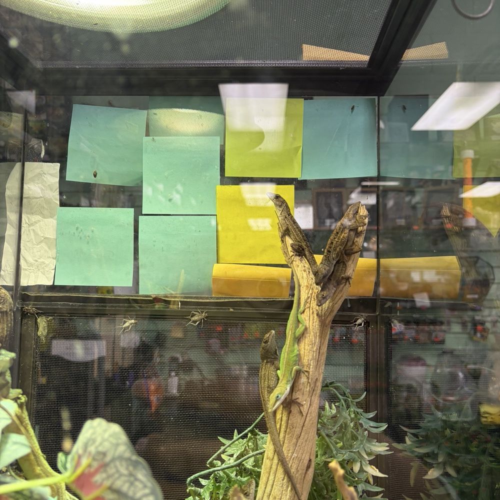Burbank Scales N Tails - Pet Stores Near Me - Burbank, California Burbank Scales N Tails - Pet Stores Near Me - Burbank, California