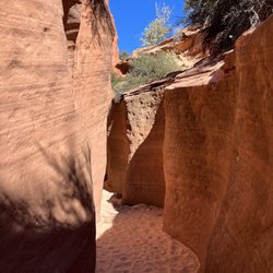 Red Desert Adventure