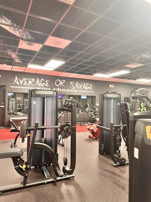 Warriors Gym - Image 5