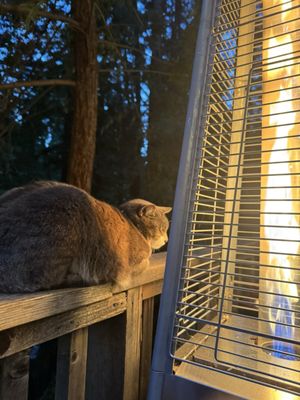 Fernwood Resort and Campground by null