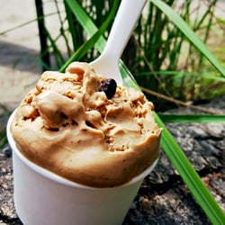 Woop Woop Foodtruck - Hazelnut-Espresso Ice Cream